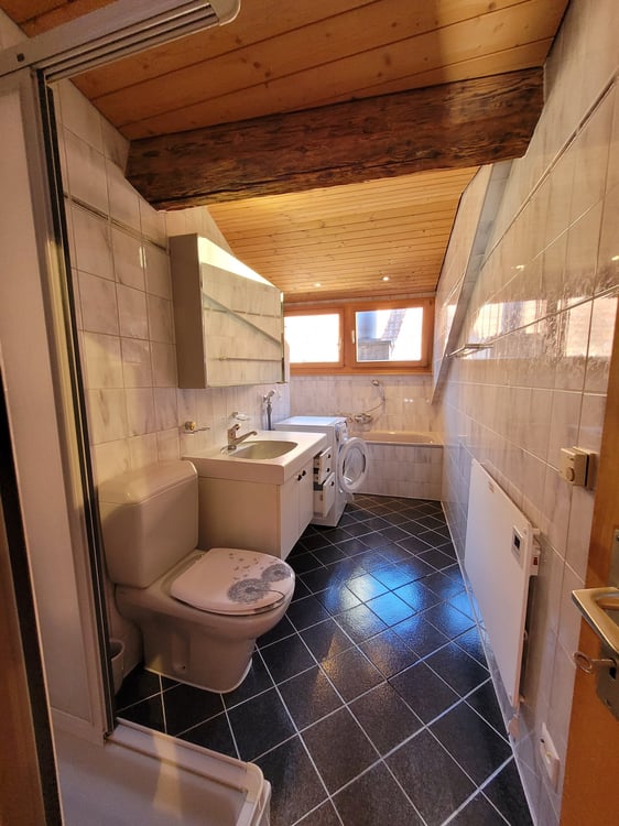 3.5-Zimmer-Dachwohnung in Tamins – sofort verfügbar 12