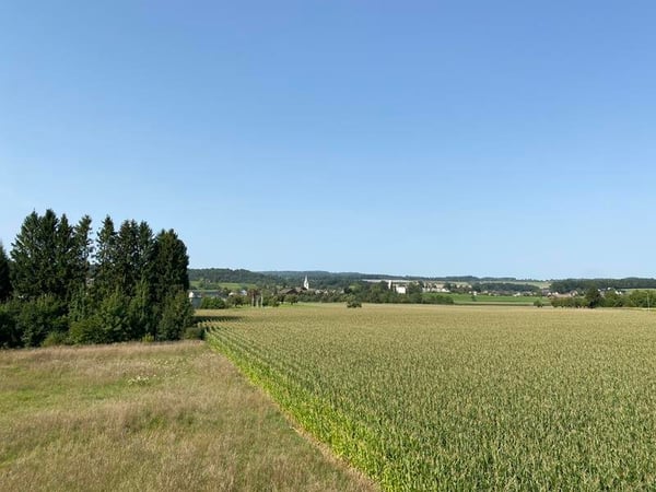 Jetzt den Traum verwirklichen - Eigenheim erwerben in Müllheim (H-A) 4