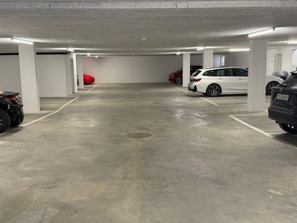 Einstellhallenplatz in Altishausen/TG zu vermieten 3