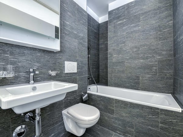 Bel appartement de 1 pièces avec grande terrasse 3