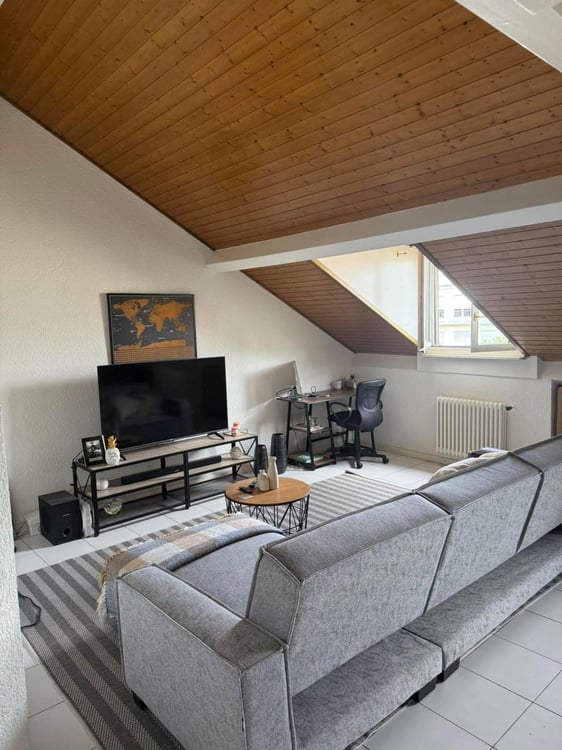 charmant 1 pièces dans les combles 1