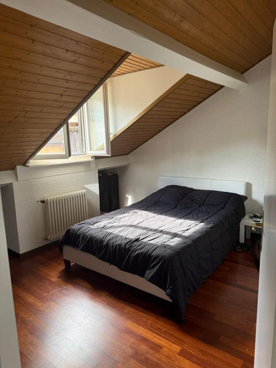 charmant 1 pièces dans les combles 3