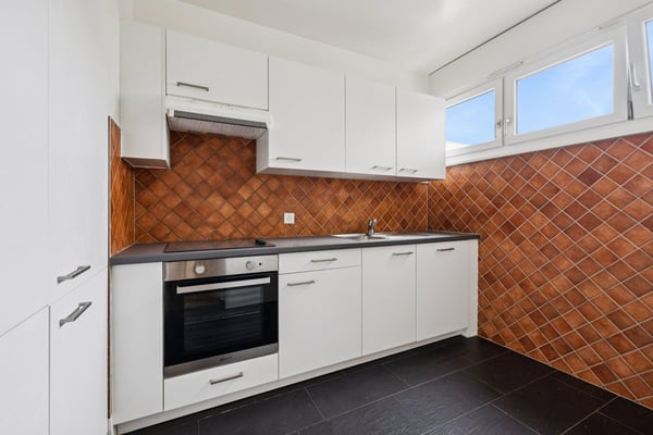 Appartement de 2 pièces à Vernier 10