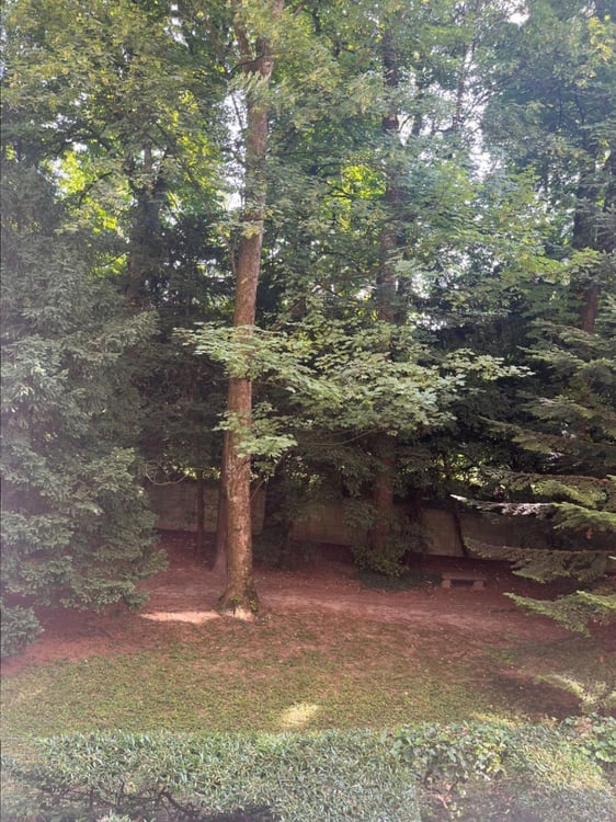 Matutina Parc - 3.5 pièces au 1er étage 9