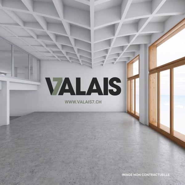 VALAIS 7 - Surface administrative d'env. 127 m² A LOUER 3