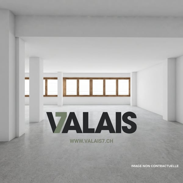VALAIS 7 - Surface administrative d'env. 183 m² A LOUER 3
