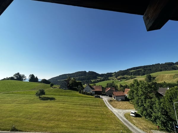 3.5-Zimmer-Dachwohnung 8