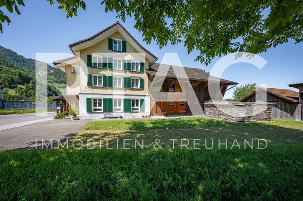 Einfamilienhaus mit Doppelgarage, Scheune und separater Remise 1