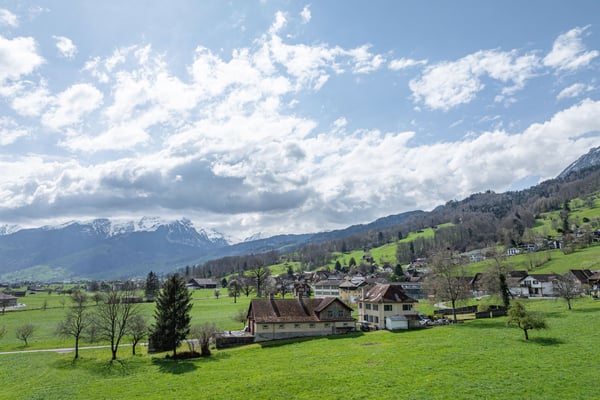 Wohn- und Geschäftshaus mit Nebenbauten 11