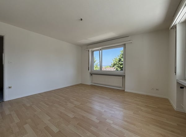 1.5-Zimmer-Wohnung 3
