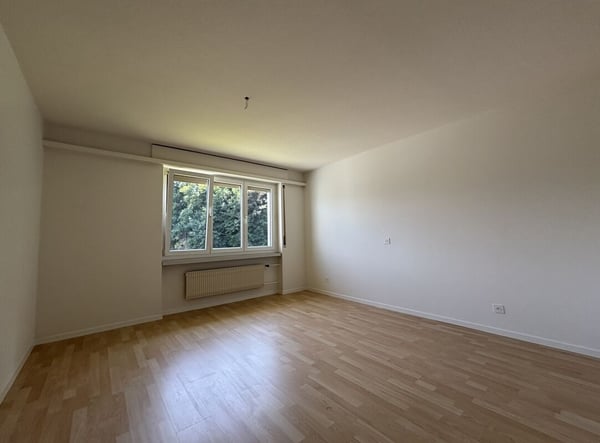 1.5-Zimmer-Wohnung 5