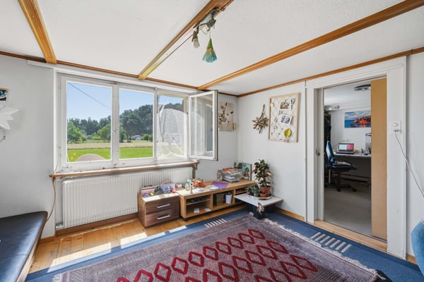 Einfamilienhaus mit Ökonomiegebäuden 10