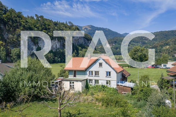 Einfamilienhaus 1