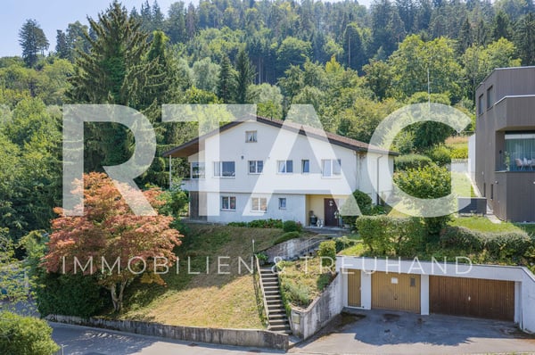 Einfamilienhaus 1