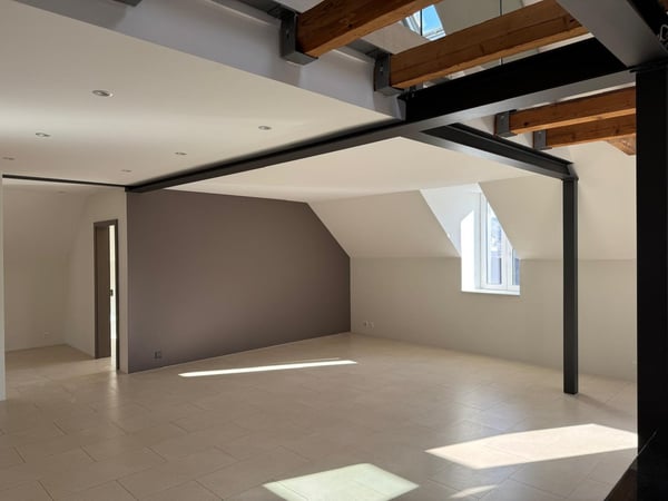 Magnifique appartement sous les toits de 1.5 pièces à La Chaux-de-Fonds 7