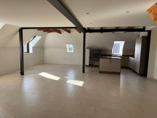 Magnifique appartement sous les toits de 1.5 pièces à La Chaux-de-Fonds 3