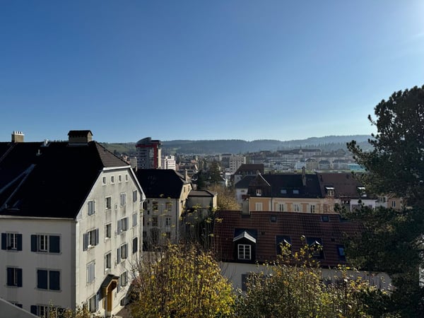 Magnifique appartement sous les toits de 1.5 pièces à La Chaux-de-Fonds 4