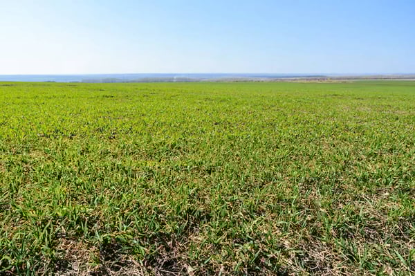 Chézard-Saint-Martin terrain constructible de 6000 m2 2