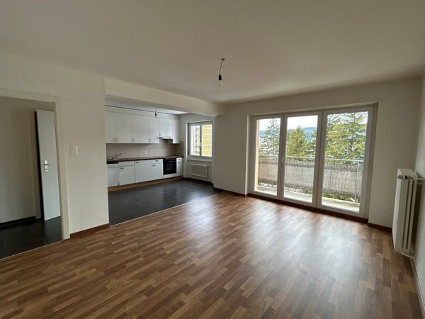 Charmant 2,5 pièces avec vue imprenable et 1er loyer net offert ! 1