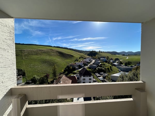 Appartement rénové de 3.5 pièces avec vue et balcons 4