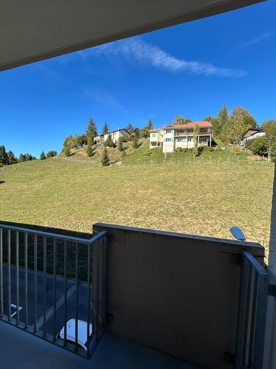 Appartement rénové de 3.5 pièces avec vue et balcons 5