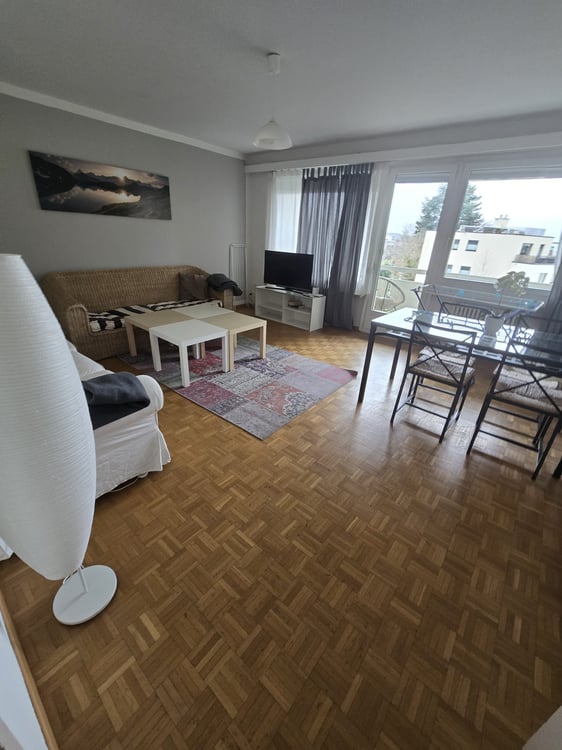 Furnished 1-Room Apartment with Balcony and Beautiful View - Zürich 2