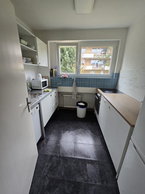 Furnished 1-Room Apartment with Balcony and Beautiful View - Zürich 4