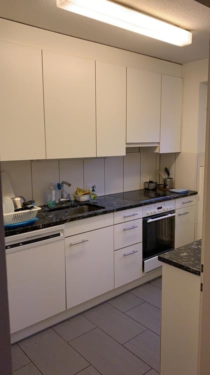 Bright 1-Room Garden Apartment with Balcony and Beautiful View into the Green – Zürich Witikon 8