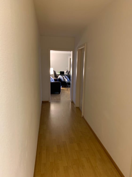 Bright 1-Room Garden Apartment with Balcony and Beautiful View into the Green – Zürich Witikon 7