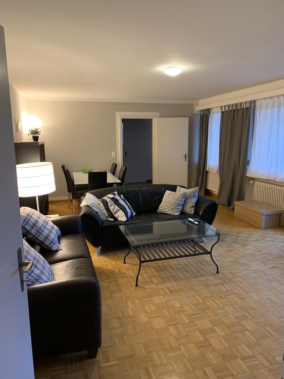 Bright 1-Room Garden Apartment with Balcony and Beautiful View into the Green – Zürich Witikon 5