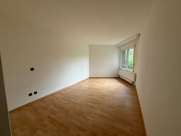 Charmante 3.5-Zimmer-Wohnung in Brunnen – sofort bezugsbereit 6