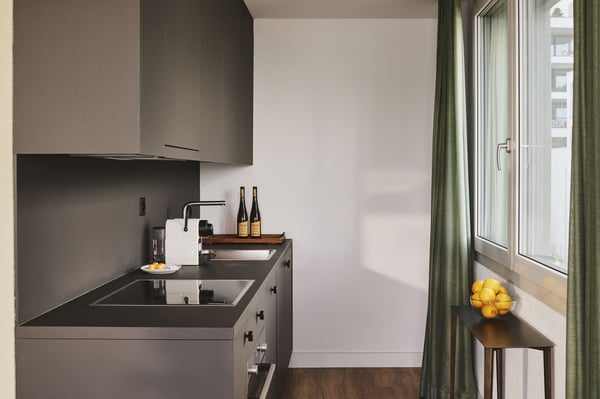 Apartments mit Designer Möblierung und voller Seesicht in Horgen/Zürich/Zug/Pfäffikon. 6