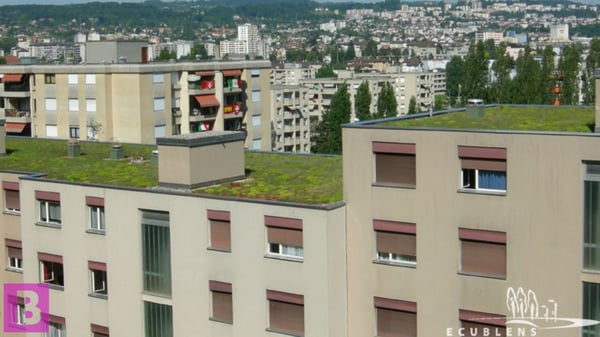 Fonds de commerce à céder au cœur d'Ecublens 3
