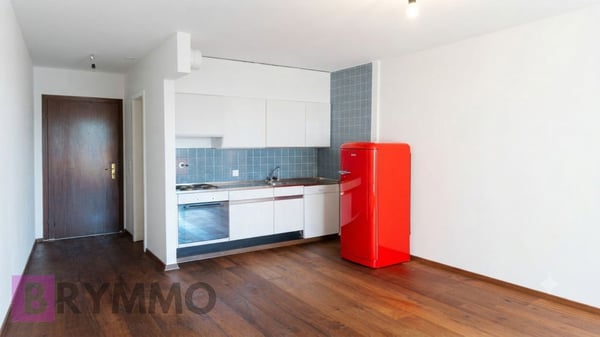 Pépite au cœur de Lausanne : Studio avec grand balcon & piscine 1