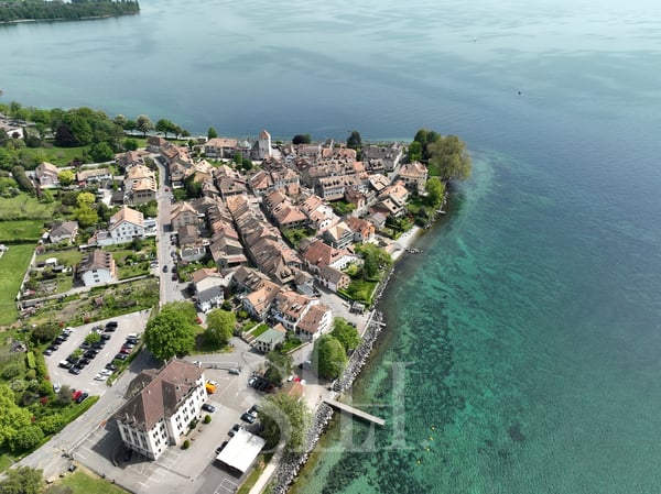 Une propriété rare sur les rives du Léman 2