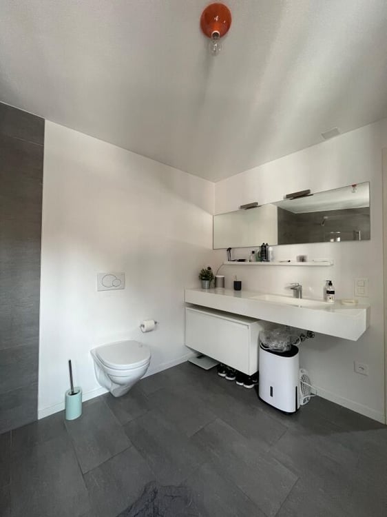 Appartamento duplex di 5 locali ad Arbedo 19