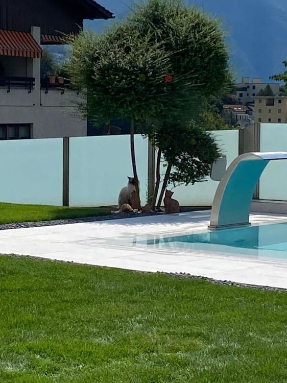 Villa Moderna con Piscina e Domotica Avanzata - Unicità e Comfort a Portata di Mano 7