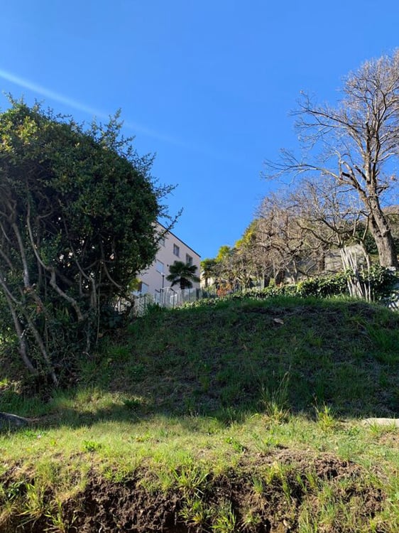 Terreno edificabile di 2548 mq con vista lago, Orselina 6