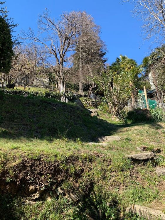 Terreno edificabile di 2548 mq con vista lago, Orselina 8