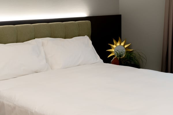 Arbed Living Hotel, appartamento ammobiliato 2.5 locali, Castione 7