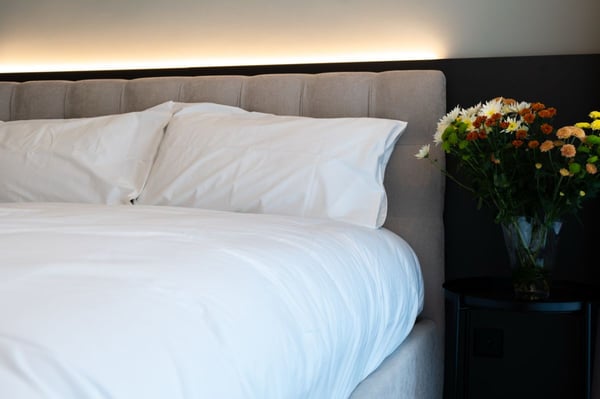Arbed Living Hotel, Appartamento arredato di 1.5 locali, Castione 12