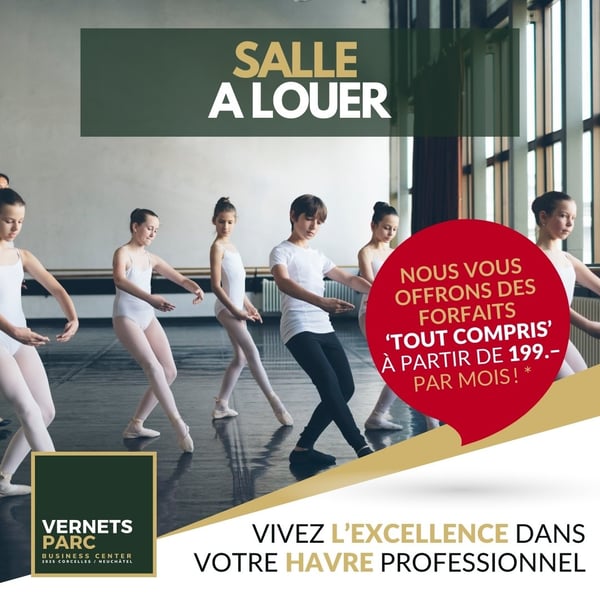 Magnifiques locaux tout inclus dès 499.- 20