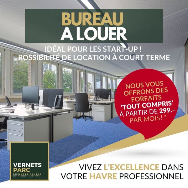 Magnifiques locaux tout inclus dès 499.- 9