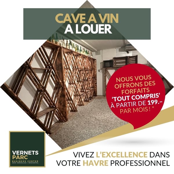 Magnifiques locaux tout inclus dès 499.- 19