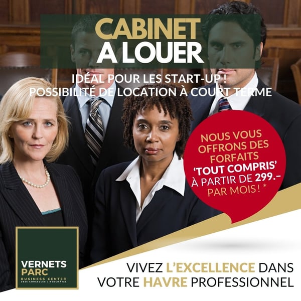 Magnifiques locaux tout inclus dès 499.- 16