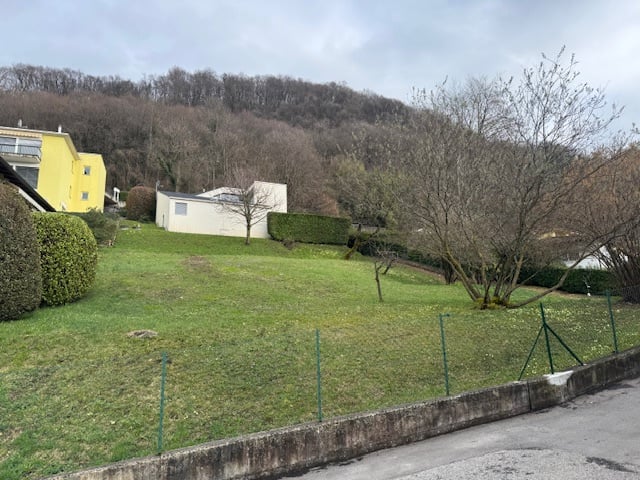 A sloping garden with trees and bushes, fenced on one side, and overlooking the hills.