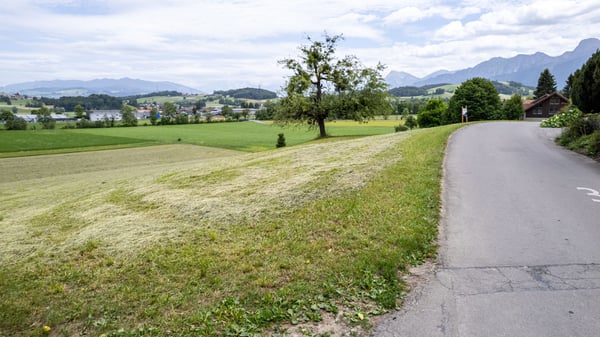 Bauparzelle 1'336 m2 mit Weitsicht in Burgistein kaufen 12