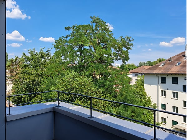 Loftwohnung Nähe Rosengarten 9