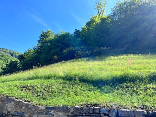Terreno con progetto approvato per 4 case a Lugano-Valcolla 12
