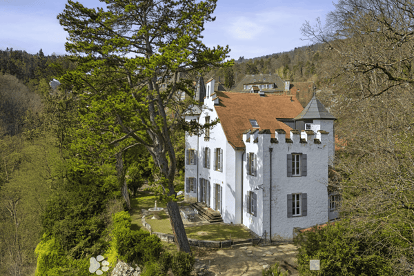 Einmalige Gelegenheit: Das einzige Stadtschlösschen über den Dächern von Biel BE 1